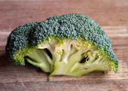 broccoli terry kownack dot com