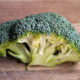 broccoli terry kownack dot com