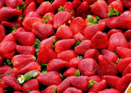 strawberries j food technical dot com