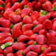 strawberries j food technical dot com